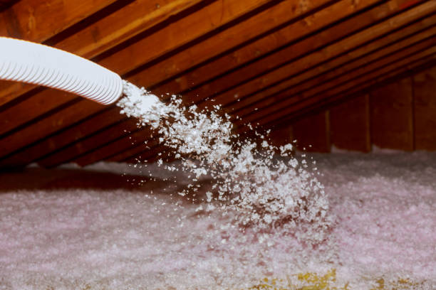 Best Cellulose Insulation in Boiling Spring Lakes, NC